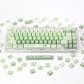 Spring Outing 104+27 Cherry Profile Keycap Set Cherry MX PBT Dye-subbed for Mechanical Gaming Keyboard